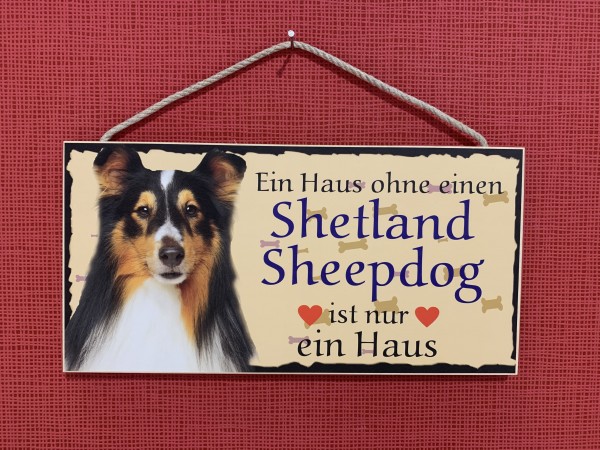 Shetland Sheepdog